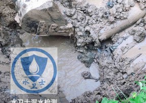 滨海新区水管漏水检测公司5